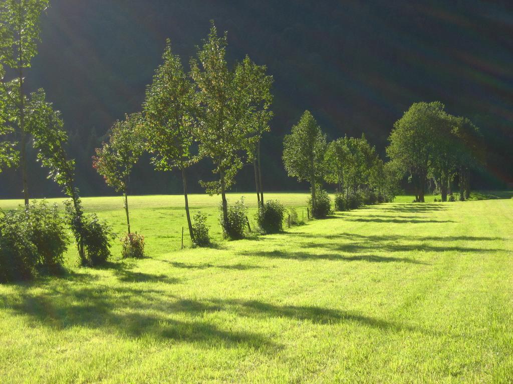 Bio Bauernhof Vorderoberlehen Werfenweng Exterior foto