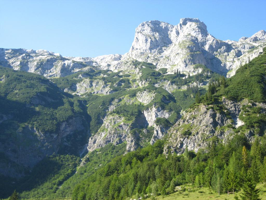 Bio Bauernhof Vorderoberlehen Werfenweng Exterior foto