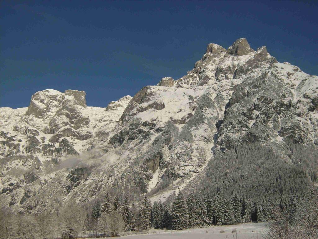 Bio Bauernhof Vorderoberlehen Werfenweng Exterior foto