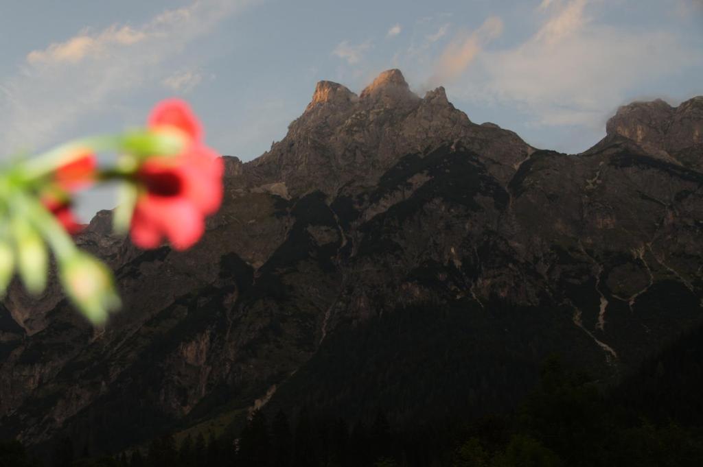 Bio Bauernhof Vorderoberlehen Werfenweng Exterior foto
