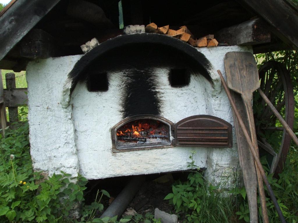 Bio Bauernhof Vorderoberlehen Werfenweng Exterior foto