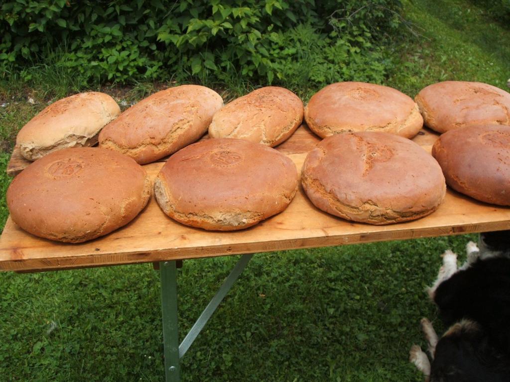 Bio Bauernhof Vorderoberlehen Werfenweng Exterior foto