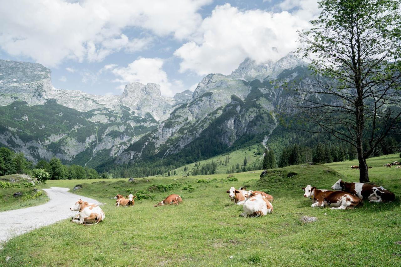 Bio Bauernhof Vorderoberlehen Werfenweng Exterior foto