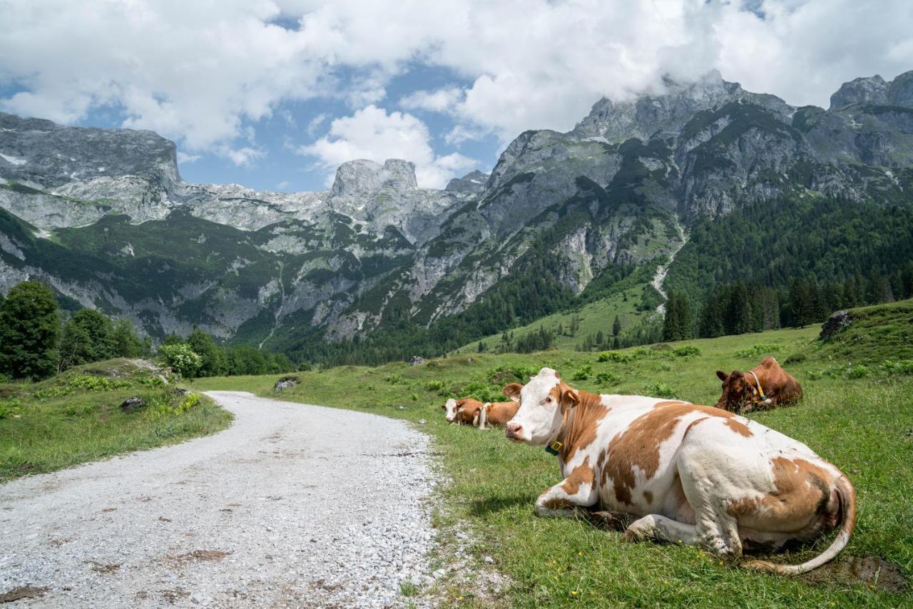 Bio Bauernhof Vorderoberlehen Werfenweng Exterior foto