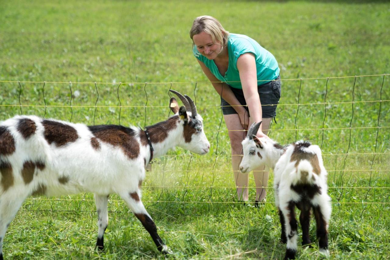 Bio Bauernhof Vorderoberlehen Werfenweng Exterior foto